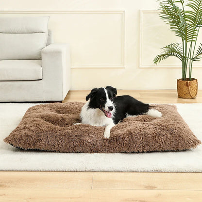 Fluffy Rectangular Dog Bed | Extra Soft Plush | 100% Cotton | 3 Colors | 4 Sizes