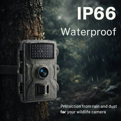 Wild camera with night vision & motion detector | Weatherproof outdoor camera for photo & video | ForestGuard