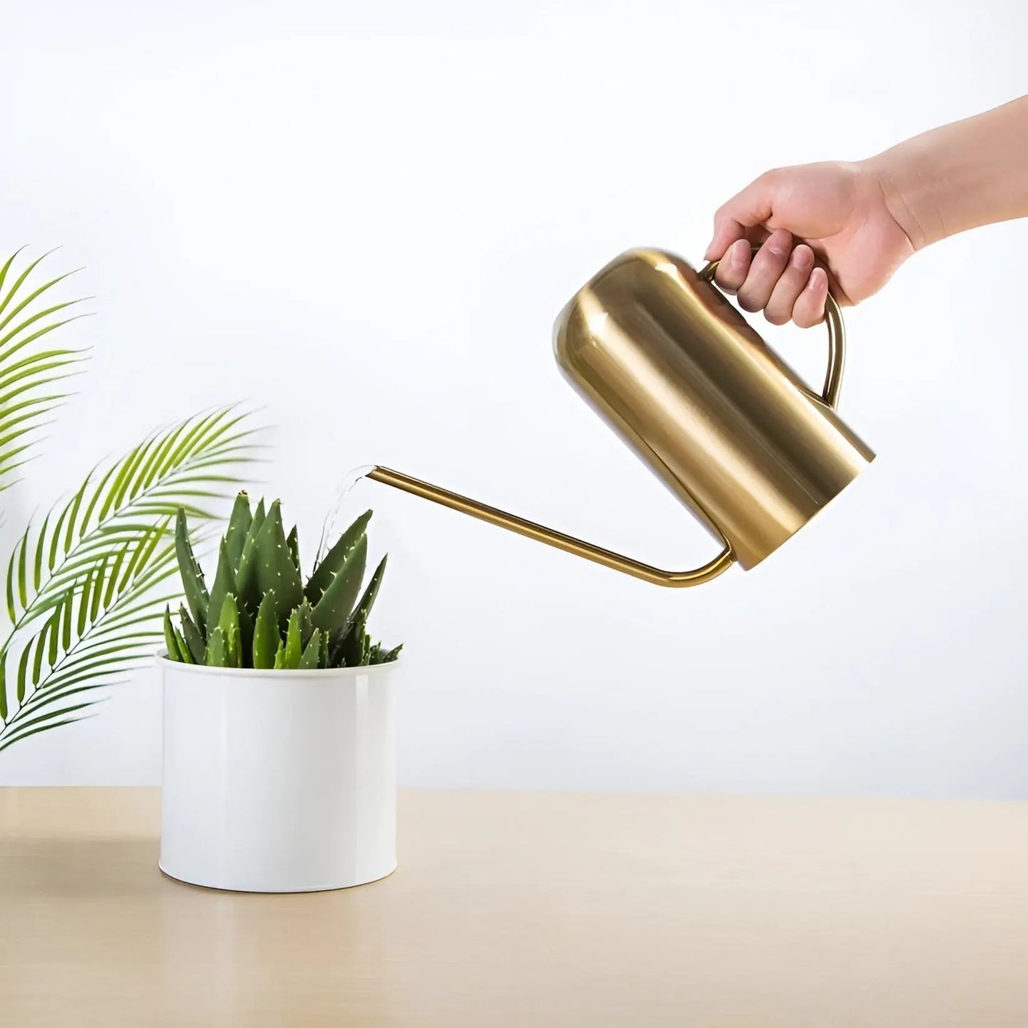 Zorenza | Elegante Edelstahl-Gießkanne für Zimmerpflanzen 4