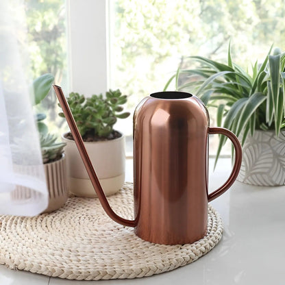 Zorenza | Elegante Edelstahl-Gießkanne für Zimmerpflanzen 6