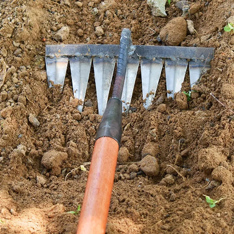 Zorenza | Gartenhacke mit Kohlenstoffstahlkopf 1