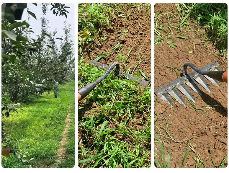 Zorenza | Gartenhacke mit Kohlenstoffstahlkopf 5