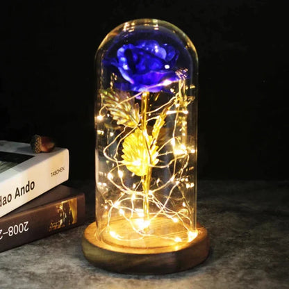 Rosalune | Ewige Rose im Glasdom mit warmweißem LED-Licht und Holzsockel