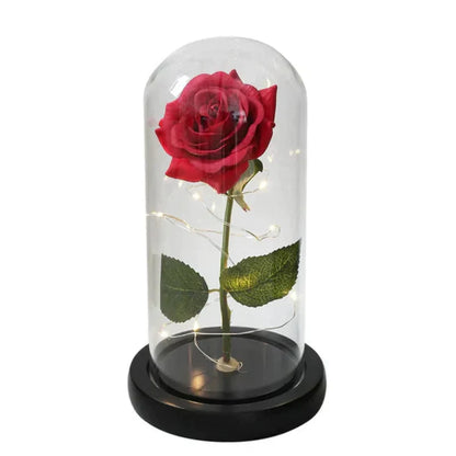 Rosalune | Ewige Rose im Glasdom mit warmweißem LED-Licht und Holzsockel