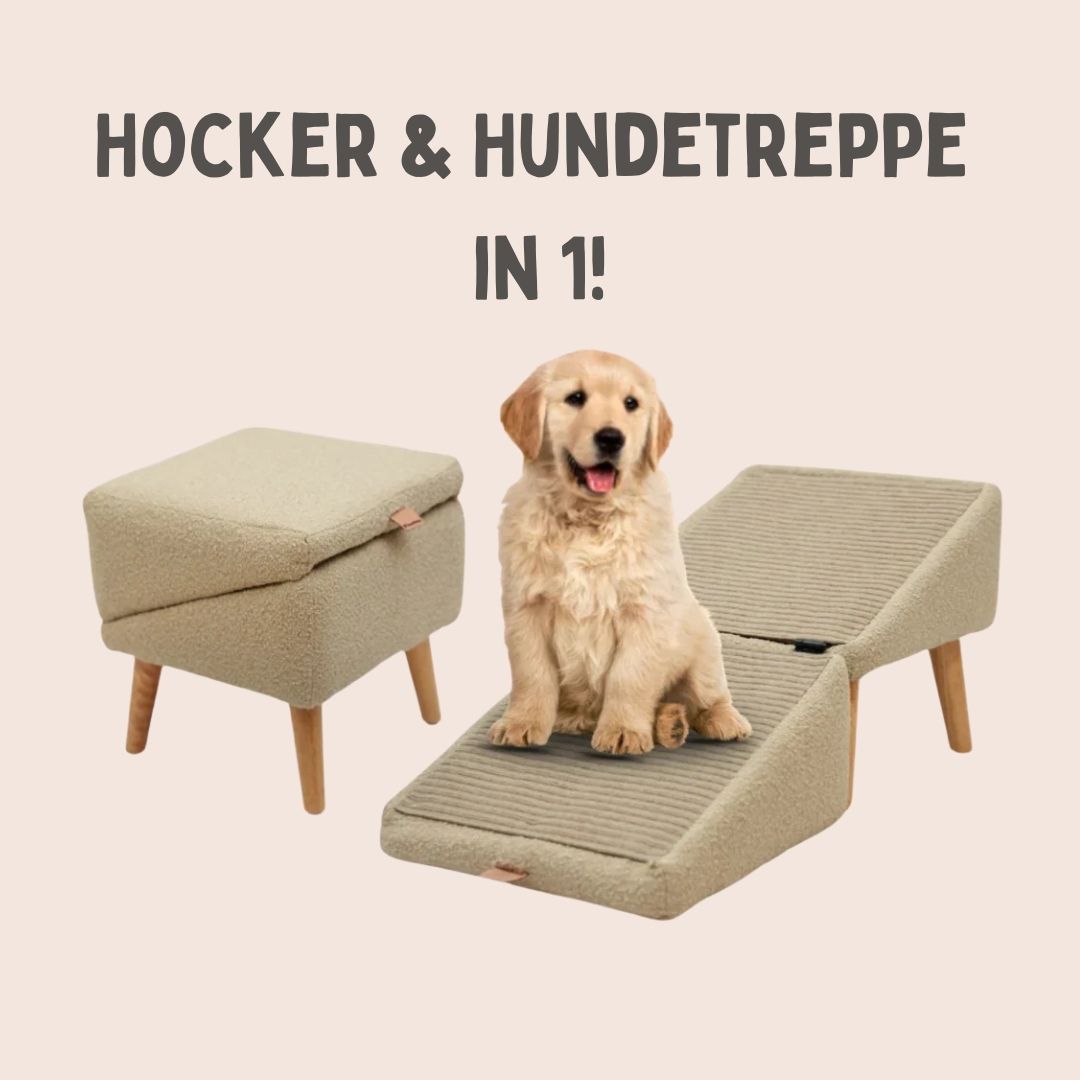 SofaFreund | 2-in-1 Dog Steps & Footstool with Ramp and Non-Slip Cover