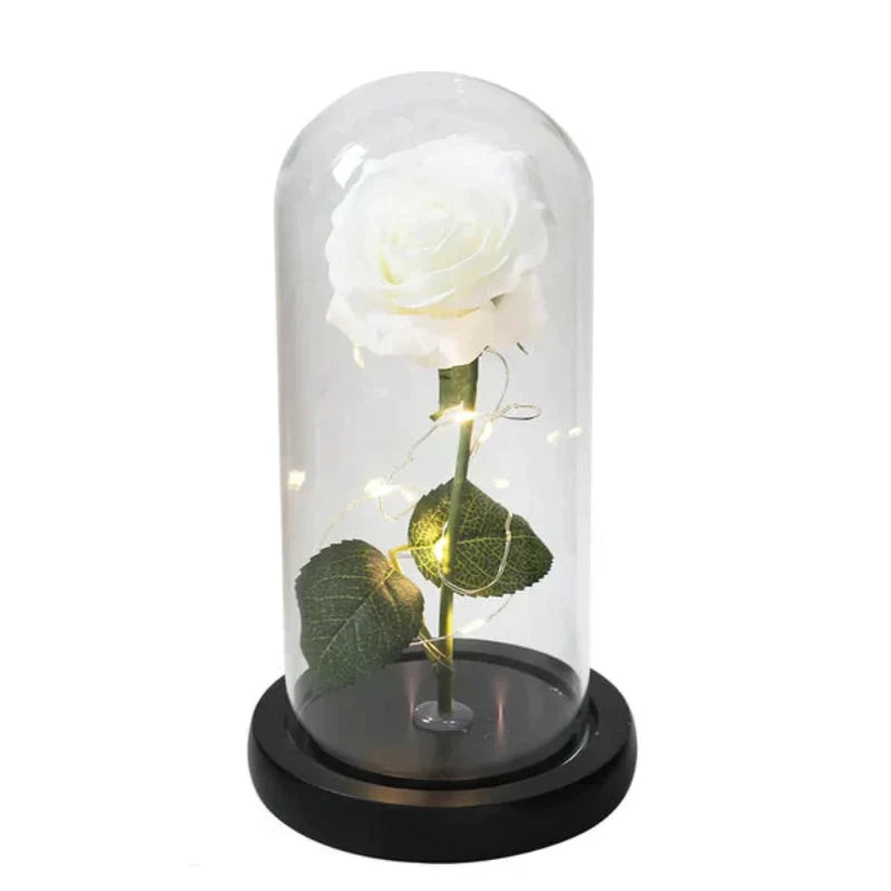 Rosalune | Ewige Rose im Glasdom mit warmweißem LED-Licht und Holzsockel