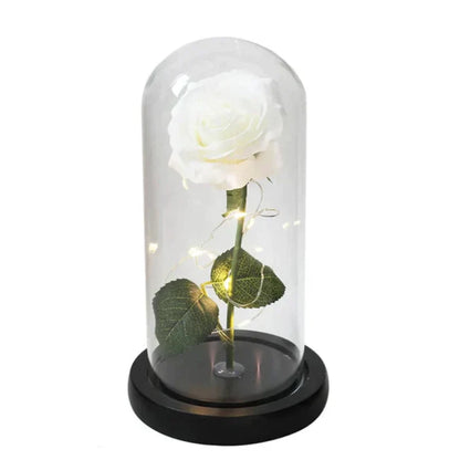 Rosalune | Ewige Rose im Glasdom mit warmweißem LED-Licht und Holzsockel