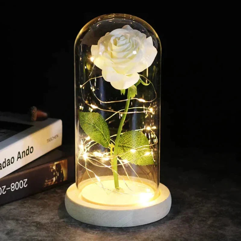Rosalune | Ewige Rose im Glasdom mit warmweißem LED-Licht und Holzsockel