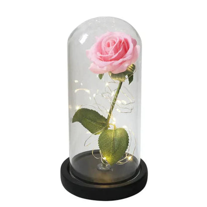 Rosalune | Ewige Rose im Glasdom mit warmweißem LED-Licht und Holzsockel